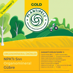 GOLD-etiket-on